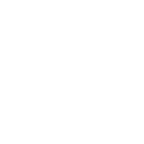 Moonlit Photography logo – elegant text design, representing creative and professional photography services in Huntsville, AL.
